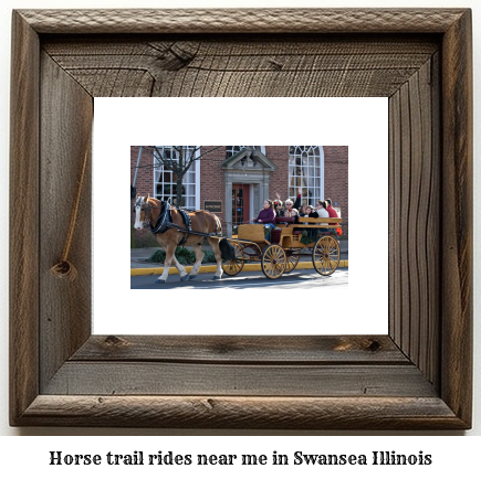 horse trail rides near me in Swansea, Illinois